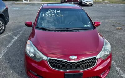 555732147 1219206146679561 9093989873699759650 n